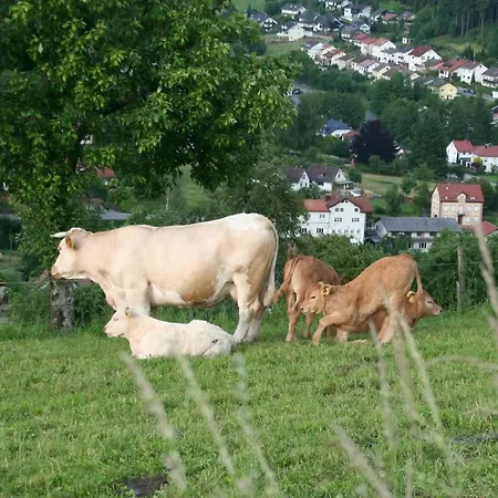 Διαμέρισμα Ferienwohnung Im Odenwald